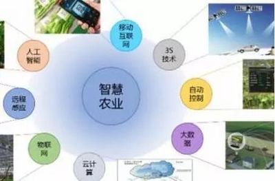 智慧網絡信息技術驅動下的有機農業發展體系構建研究